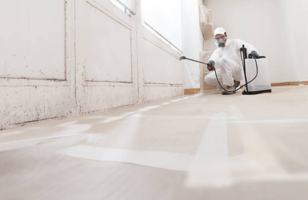 24/7 Emergency Basement Mold Remediation experts in McVeytown, PA